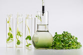 3 Gründe, warum du Chlorophyll in deiner Ernährung brauchst