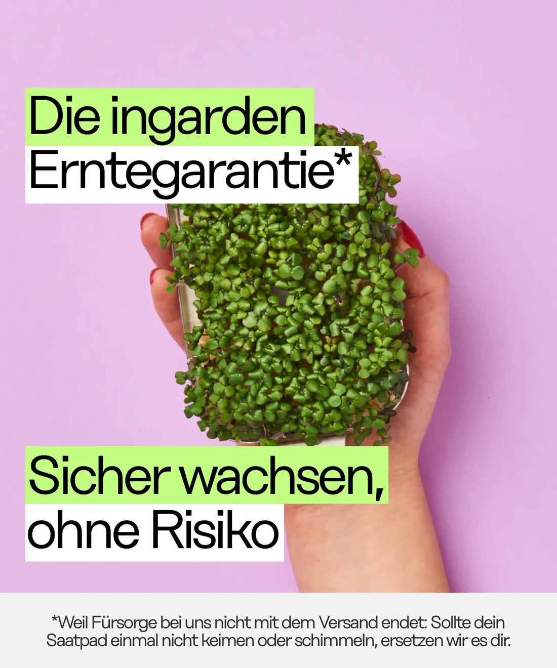 010825 ingarden pdp gallery Sicherheiten DE