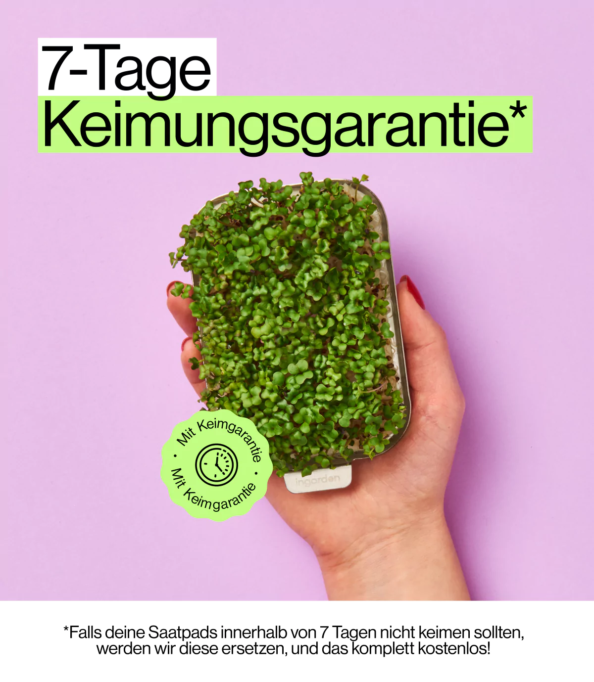 Keimungs Garantie für Kräuter Garten für zu Hause