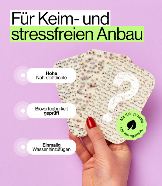 Keimfreies ziehen von Mystery Microgreens für Heimgarten