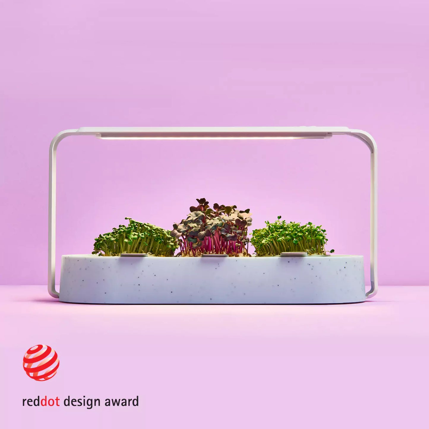 Kompakter Sprossengarten für gesunde Ernährung in der Küche