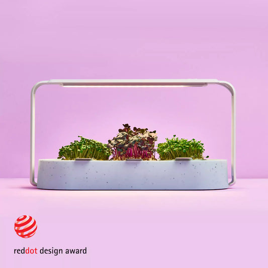 Kompakter Sprossengarten für gesunde Ernährung in der Küche