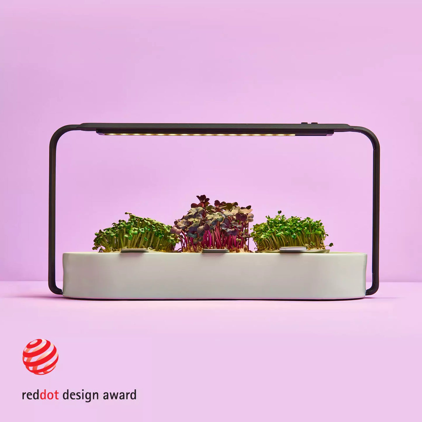 Eleganter weißes microgreens anzucht set für Küchen countertop