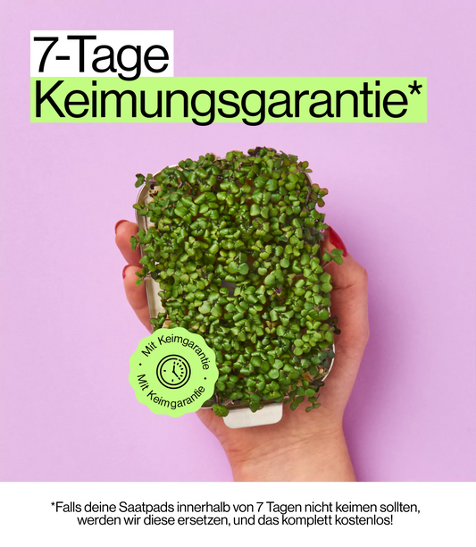 gesunde Pflanzliche Ernährung mit antioxidant mix ingarden