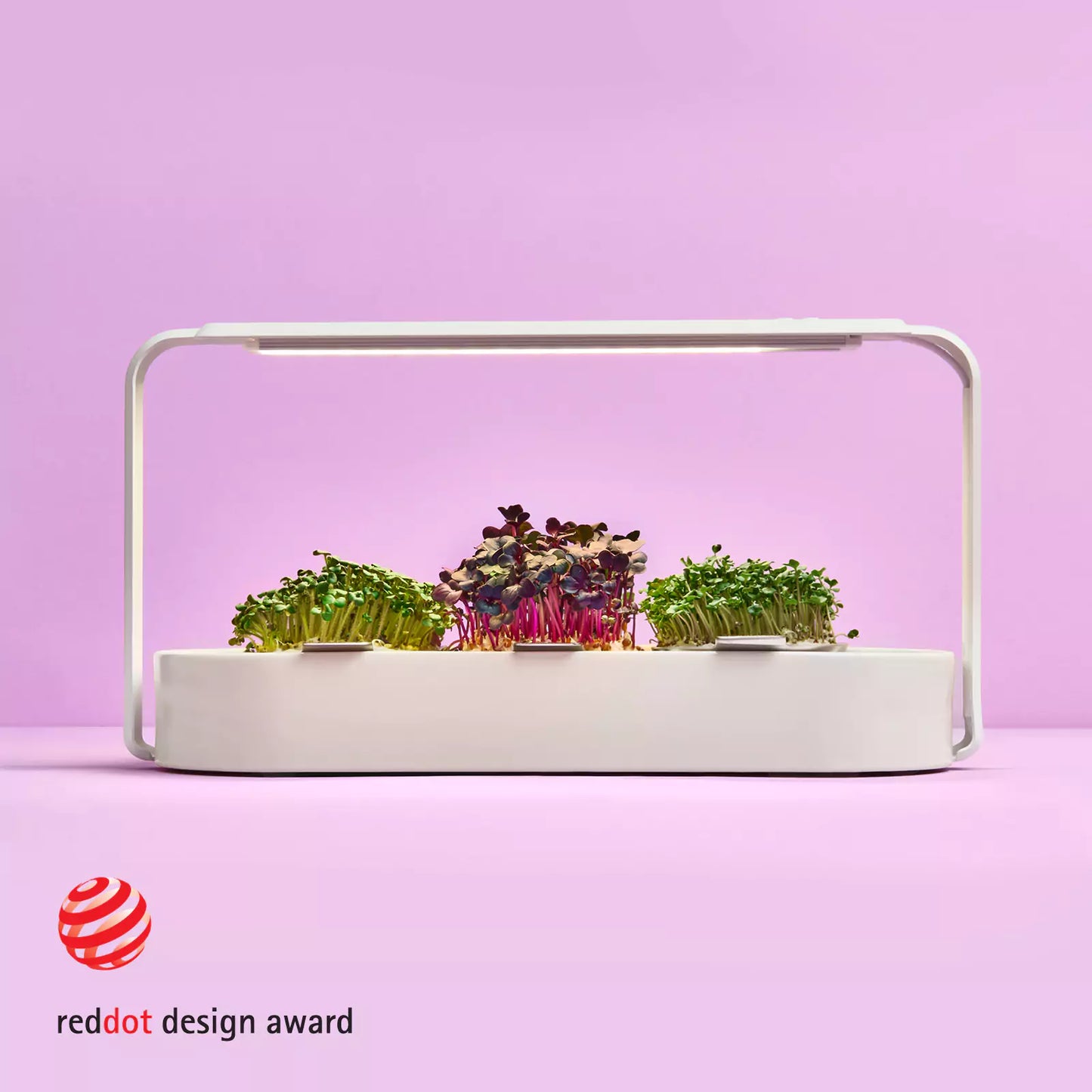 Moderner indoor garten für anzucht von Sprossen zu Hause