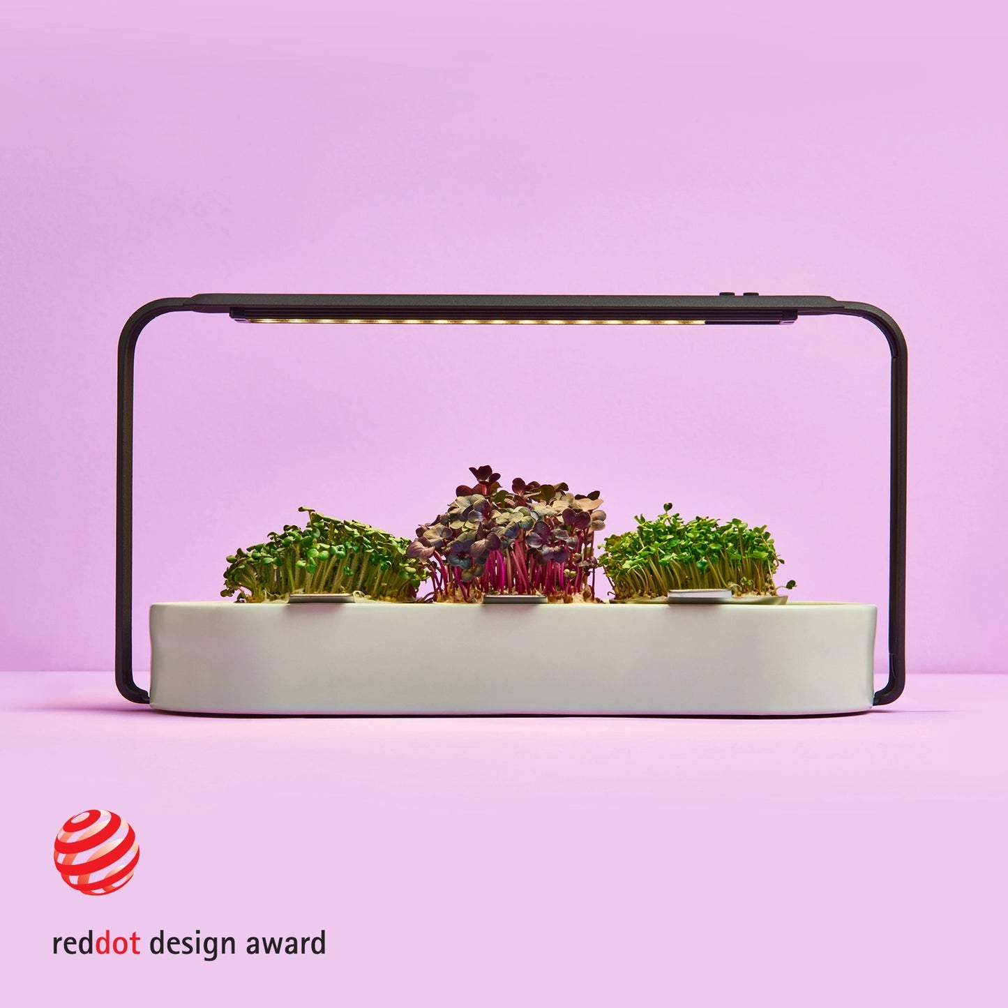 Eleganter weißes microgreens anbau set für Küchen countertop