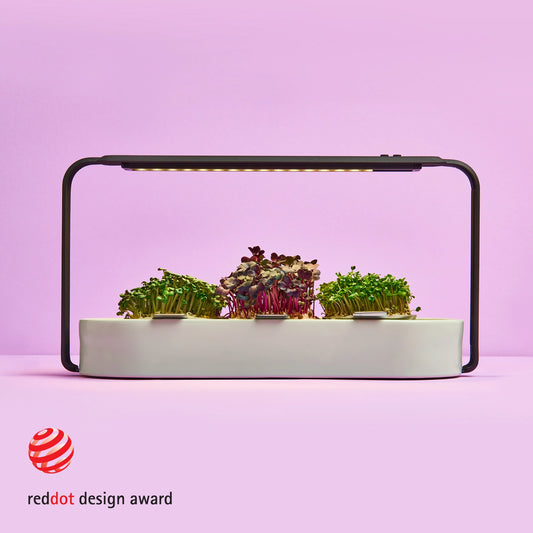 Eleganter weißes microgreens anbau set für Küchen countertop