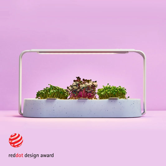 Moderner indoor garten automat für microgreens zu Hause, blau