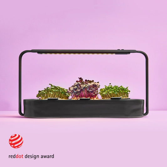 Premium Sprossenzucht mit indoor garten in schwarz