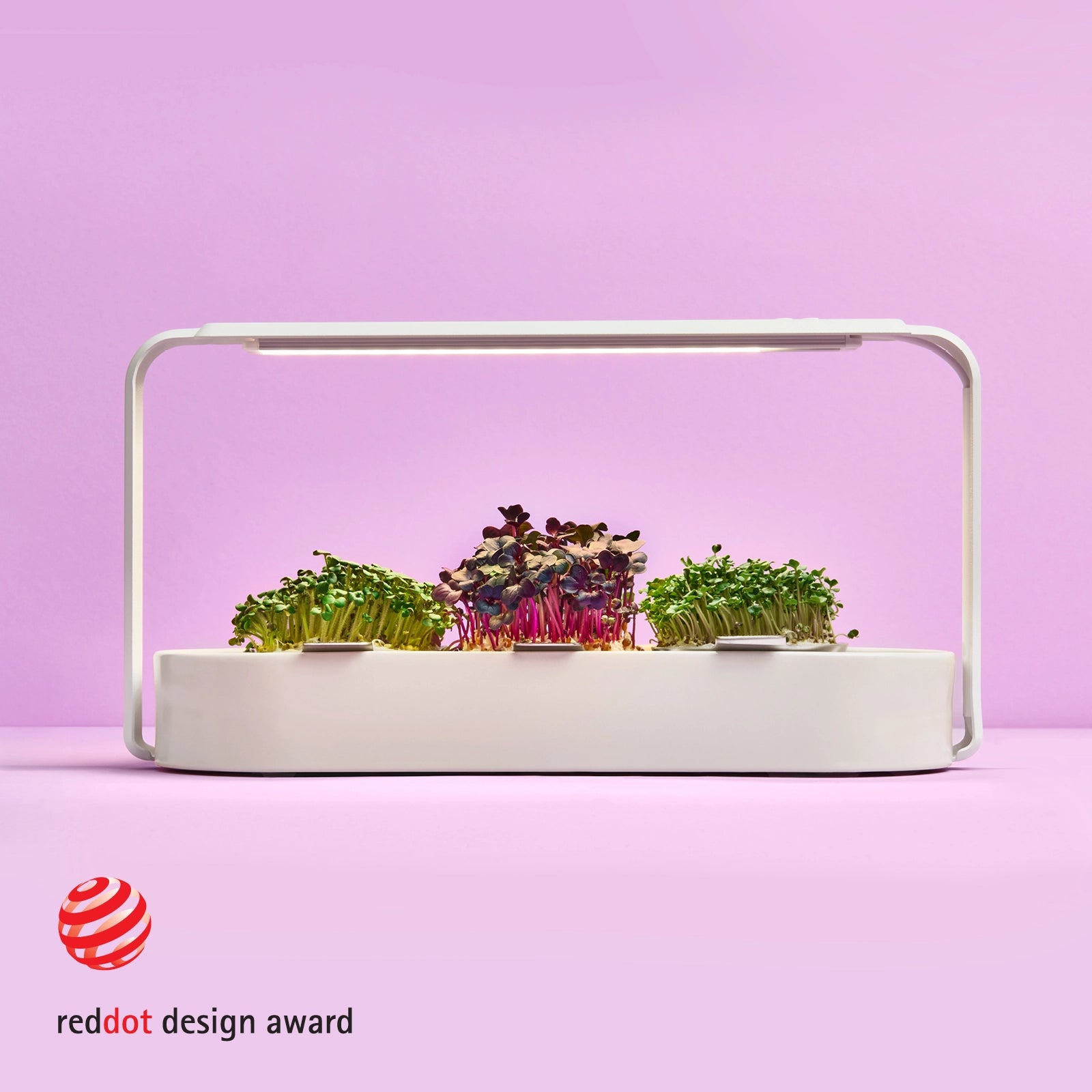 Eleganter microgreens garten für zu Hause, weiß