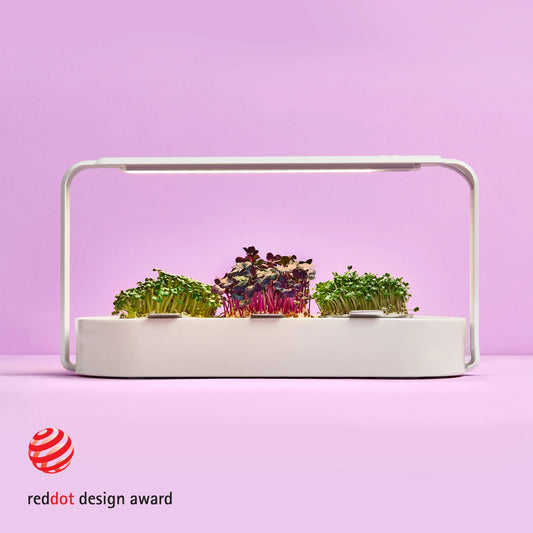 Eleganter microgreens garten für zu Hause, weiß