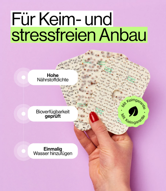 Keimfreier und stressfreier Anbau von Kräutern zu Hause