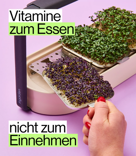 essbare Vitamine in Microgreens von ingarden