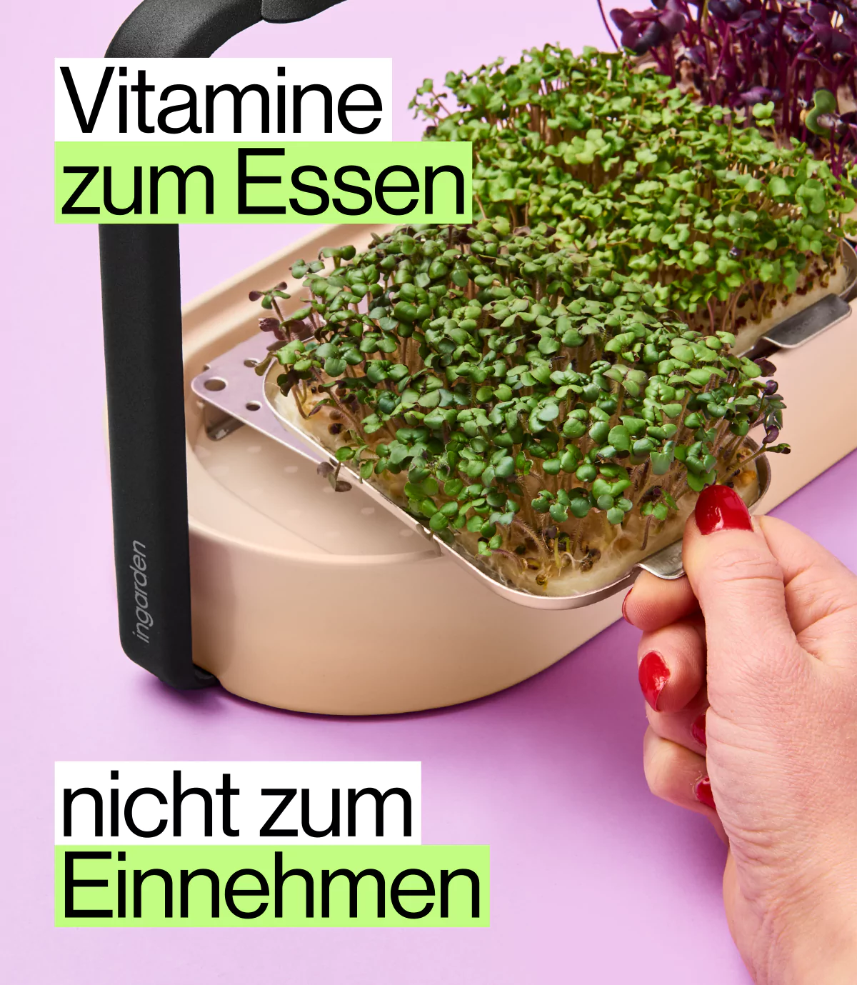 Vitamine zum Essen nicht zum einnehmen