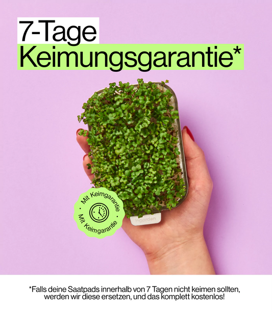 gemischte Saatpad Packung für indoor Garten