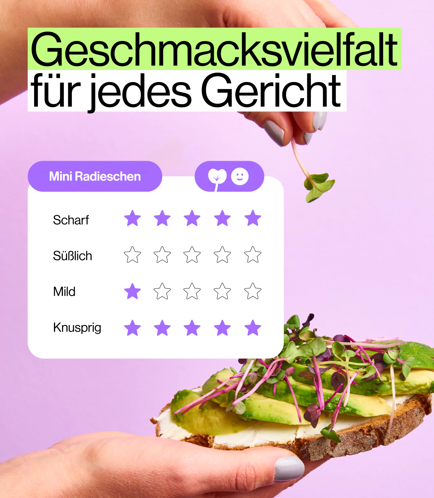 Geschmacksprofil von scharfen Radieschen Microgreens
