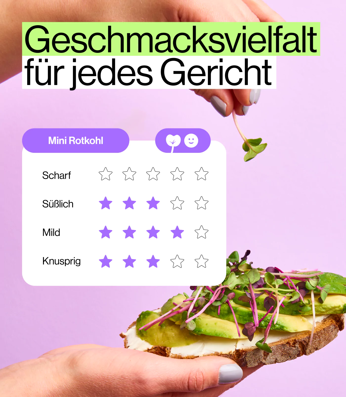 Geschmack milde Microgreens Rotkohl für Kinder