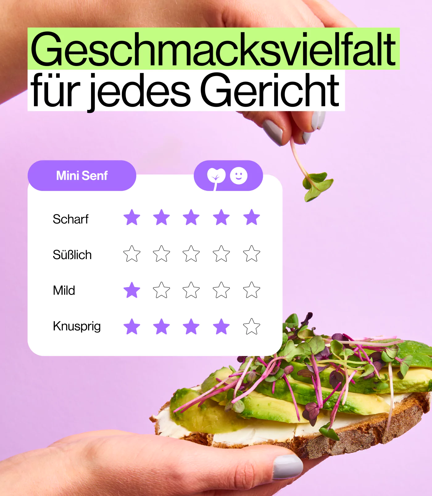 Aroma Profil Senf Microgreens, scharfe Sprossen