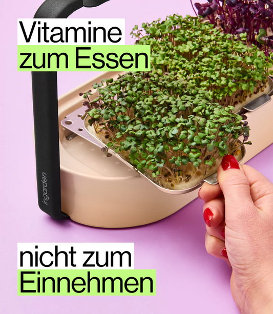 Mix-Packung für ingarden Microgreens Saat Pads