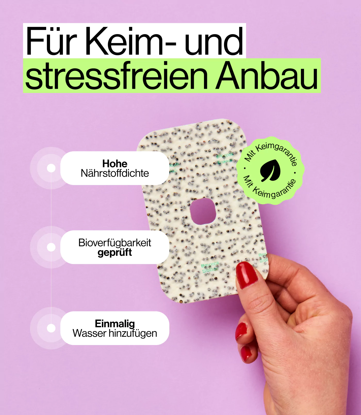 einfache Anzucht von Microgreens mit Brokkoli Saat Pad