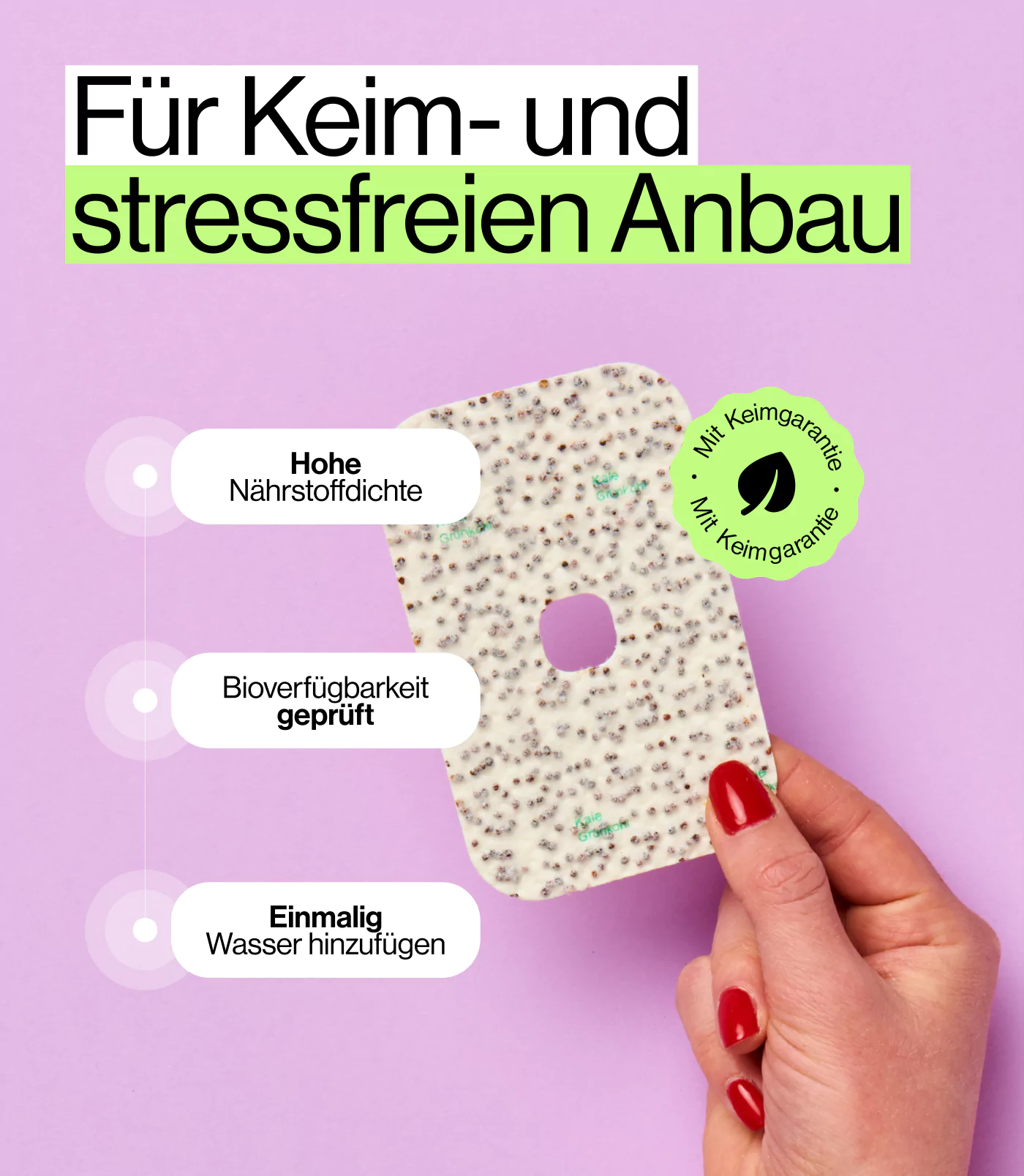 Saat Pad von Grünkohl Microgreens für Heim Garten