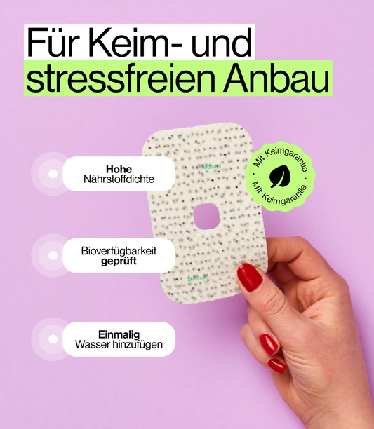 Hygienische Anzucht von Sprossen mit ingarden Sata Pads