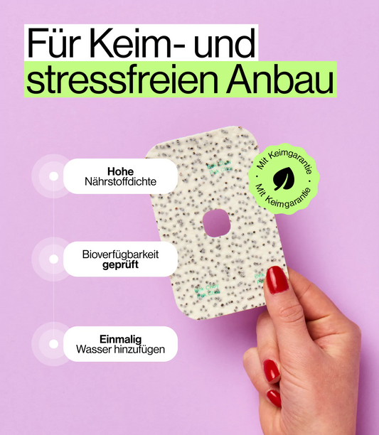 Hygienischer Anbau Pak Choi Microgreens in Saat Pad