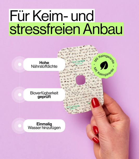 Einfache Sprossenzucht mit ingarden Saatpads