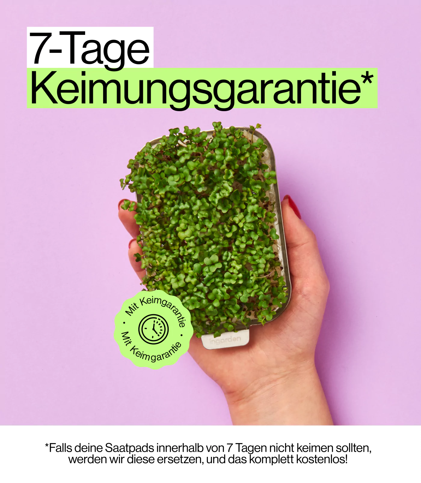 Brokkoli der garantiert keimt mit ingarden Heim Garten