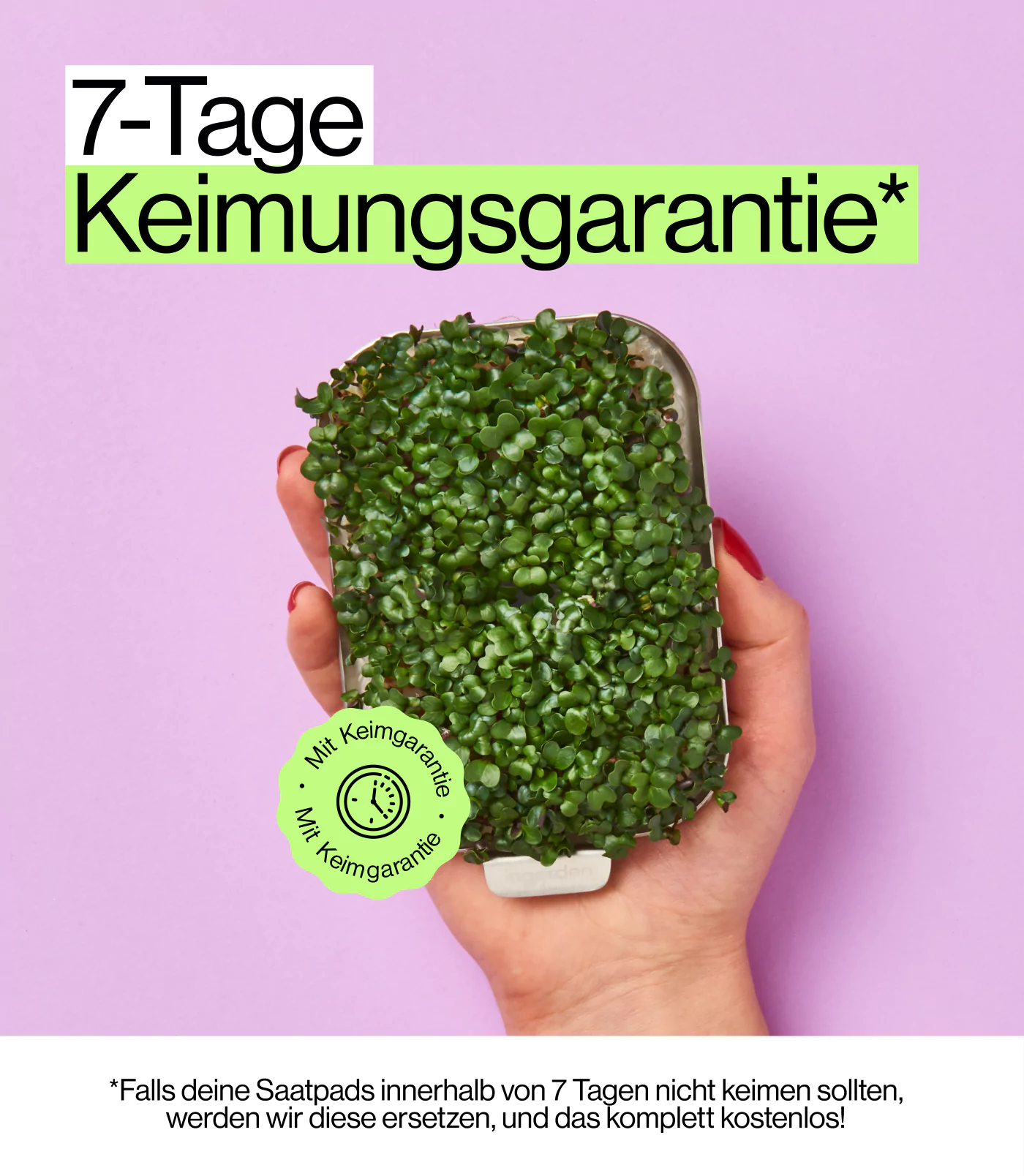 garantierter Keimungserfolg von Sprossen und Keimlingen