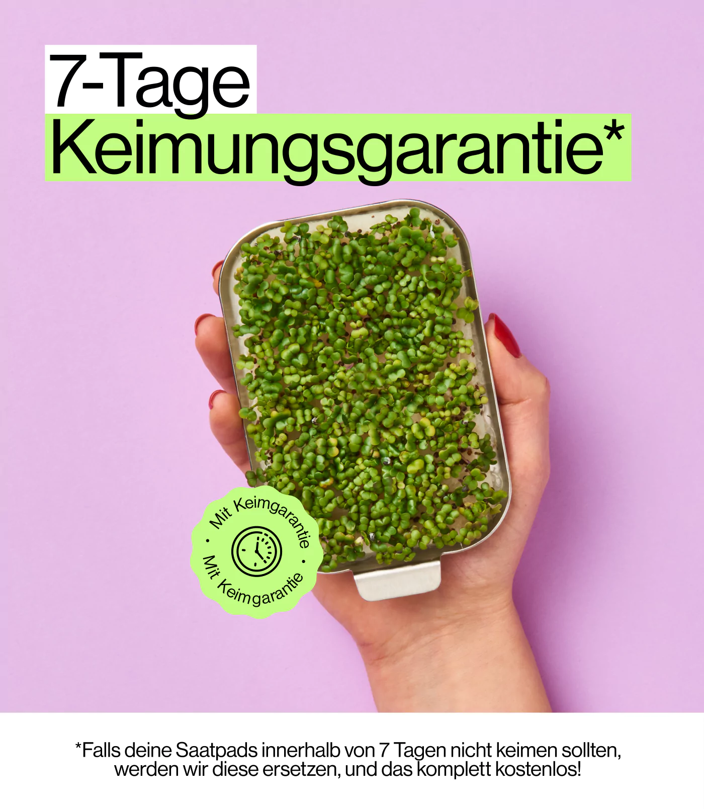 Auskeim garantie mit Saat Pads ingarden