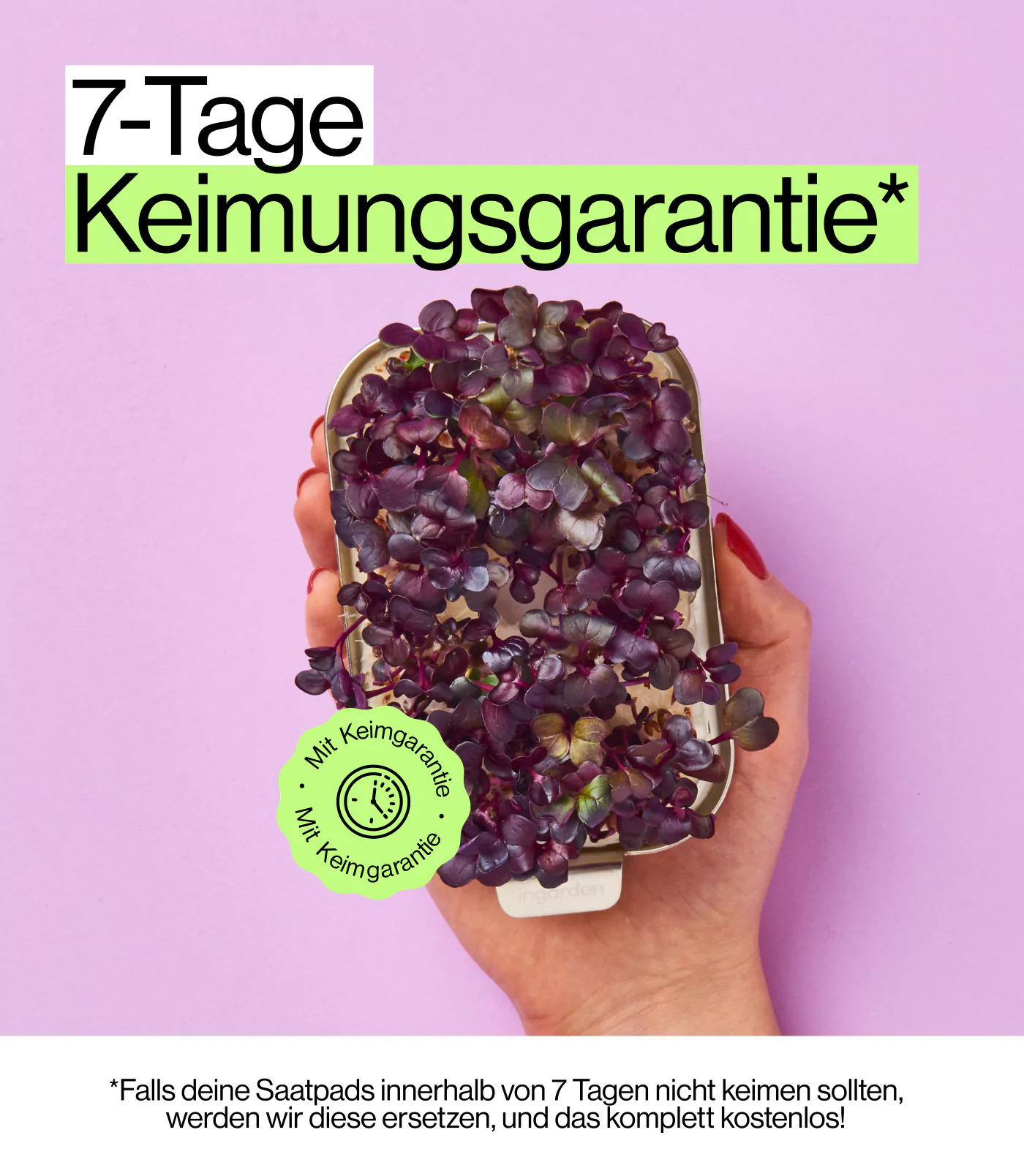 Bio Radieschen Microgreens in ingarden Anzuchtschale