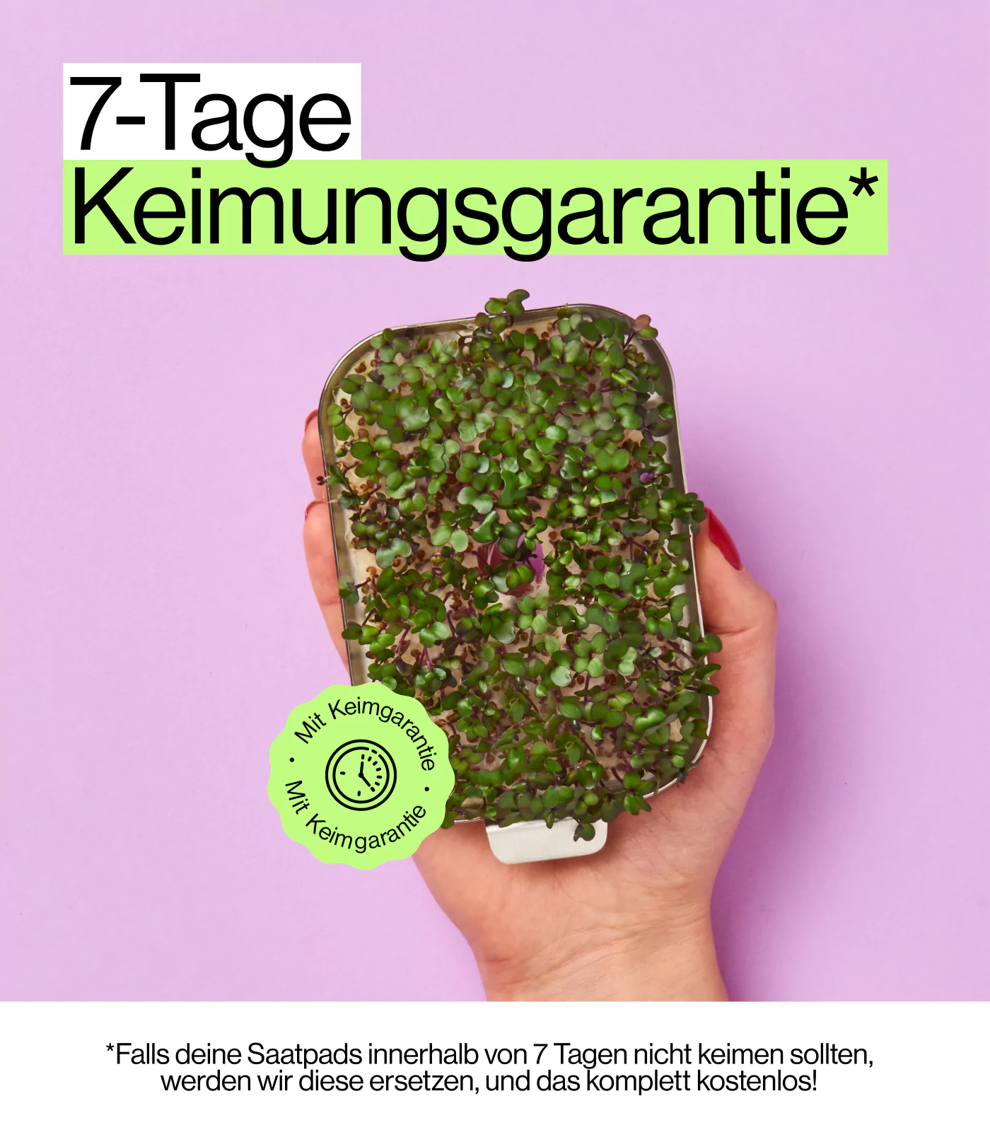 garantierte Keimung mit ingarden Microgreens Saat pads