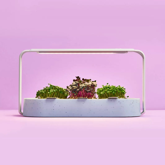 Ingarden website grafiken v3 ohne text38 1 692051eb2ad2f