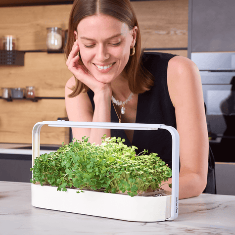 designer indoor garten in stylischer Küche