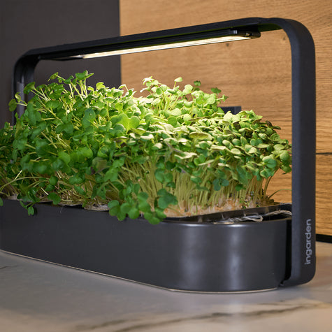 schwarzer keramik ingarden closeup premium smart garden