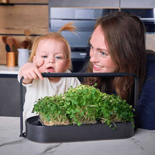 Familien freundlicher qualitativer indoor garten ingarden