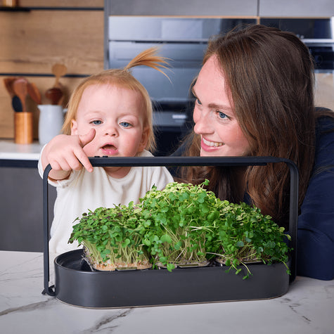 Familien freundlicher qualitativer indoor garten ingarden