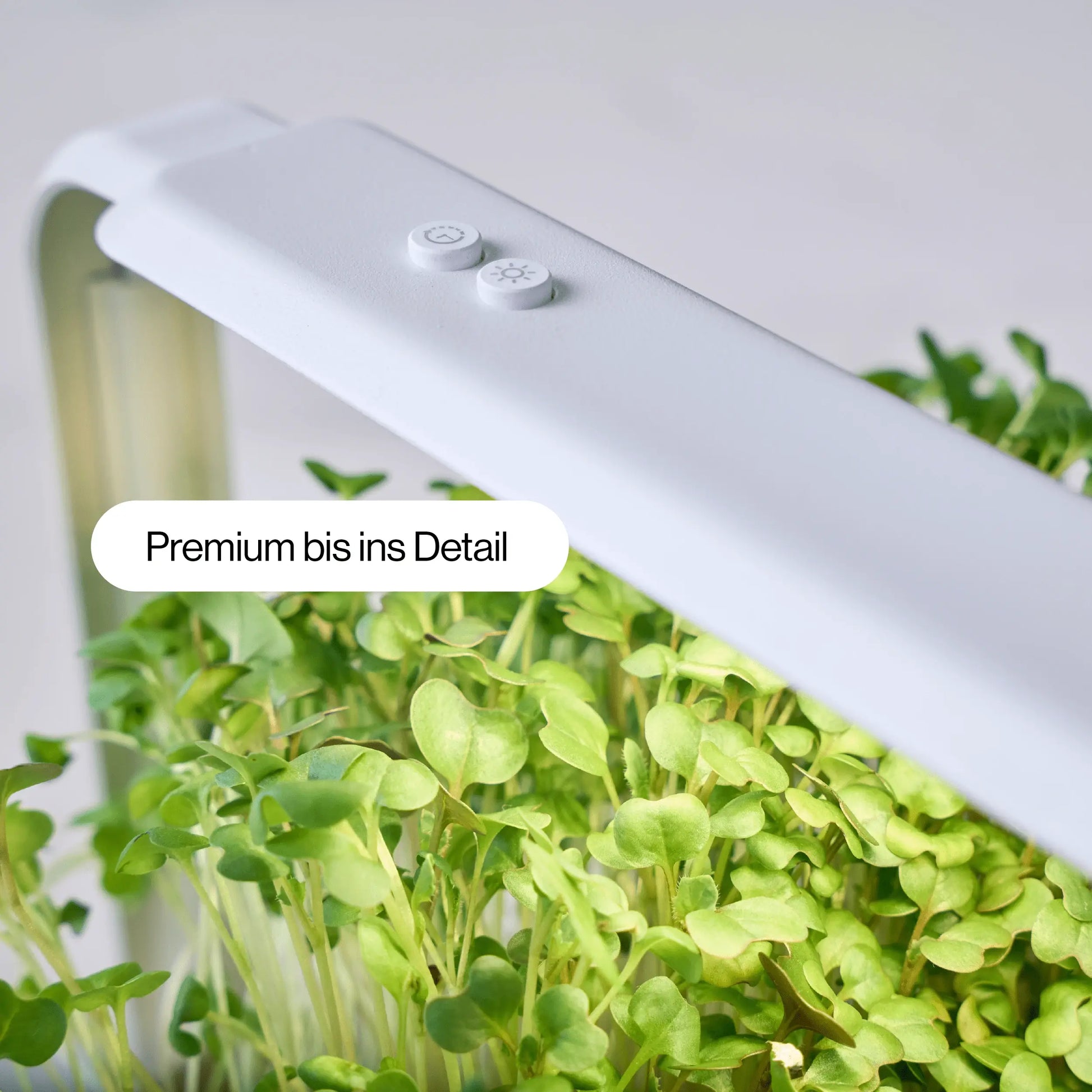 Premium hydroponic indoor garten mit automatischer LED