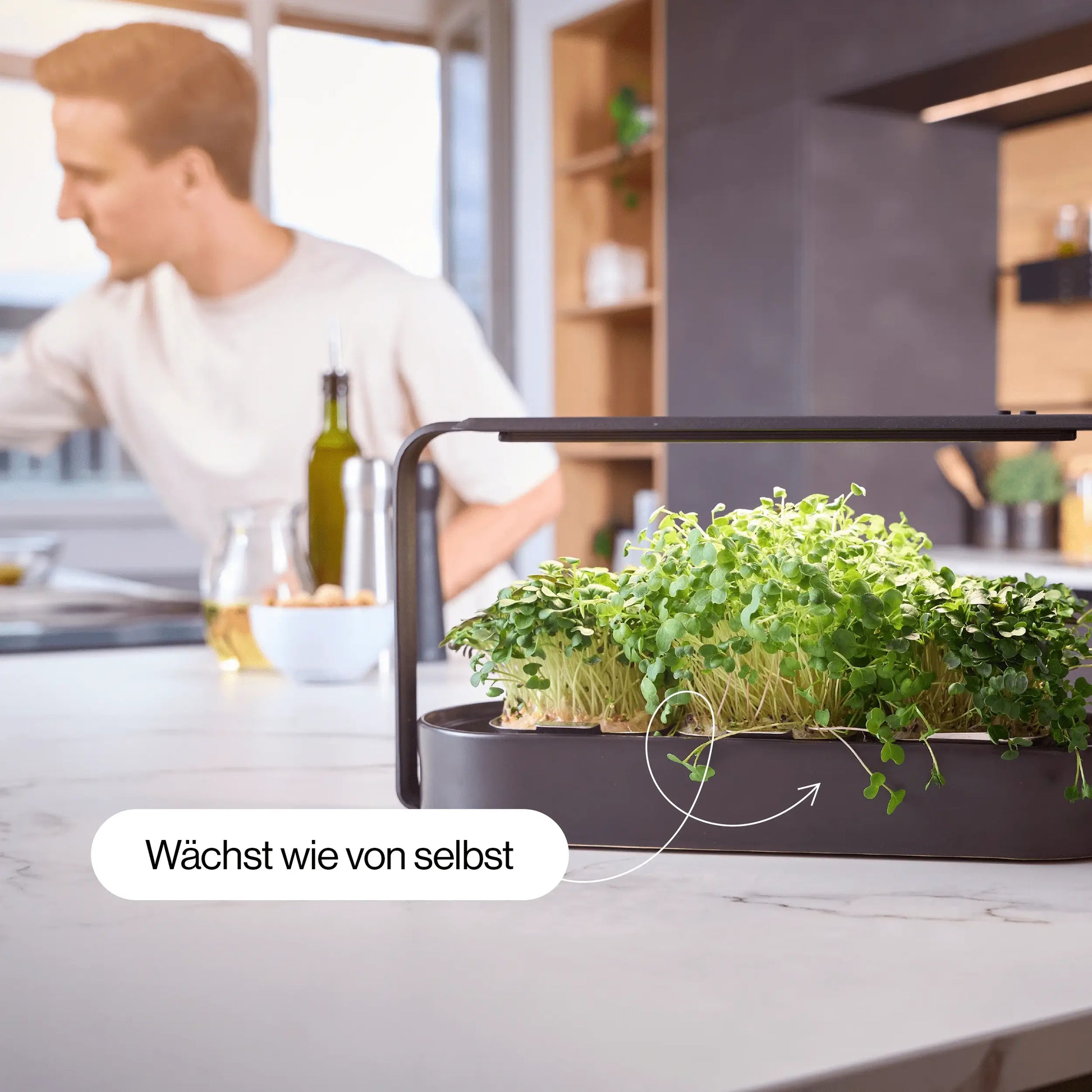Eleganter premium indoor garten für die Küche