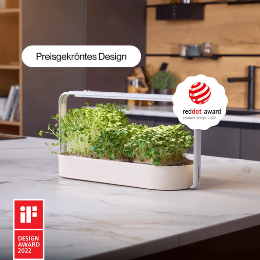 Preisgekrönter premium designer garten für zu Hause