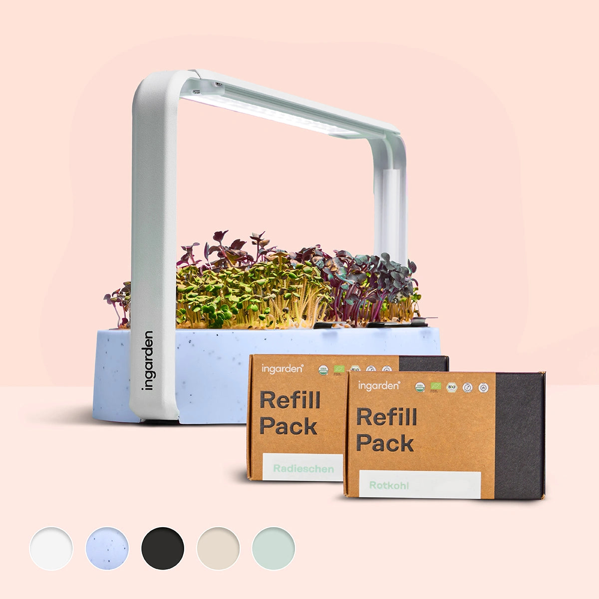 Darmruhe Starter-Set (Sparset Einzelkauf)