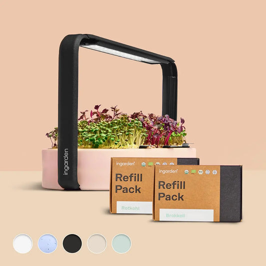 Happy Sprouts Starter Set (With Subscription)