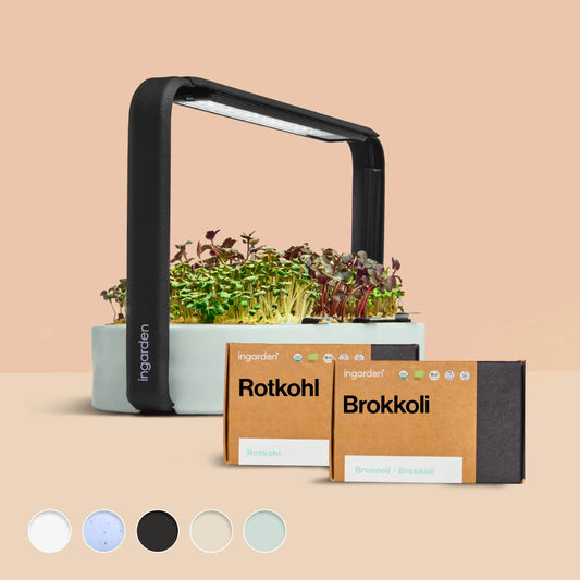 ingarden + Mini Rotkohl & Brokkoli