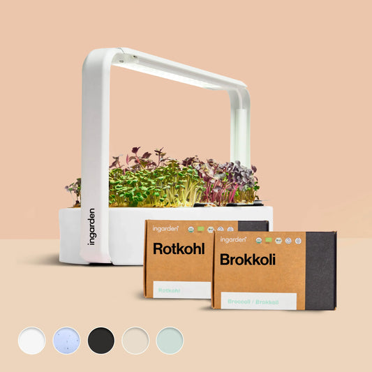 ingarden + Mini Rotkohl & Brokkoli