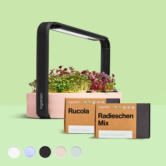 ingarden + Mini Rucola & Radieschen Mix