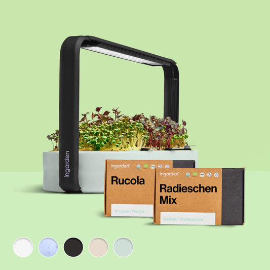 ingarden + Mini Rucola & Radieschen Mix