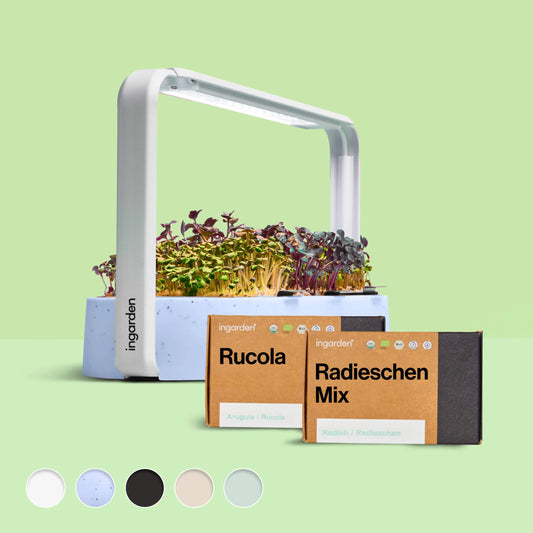 ingarden + Mini Rucola & Radieschen Mix