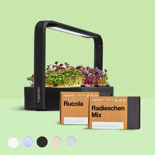 ingarden + Mini Rucola & Radieschen Mix