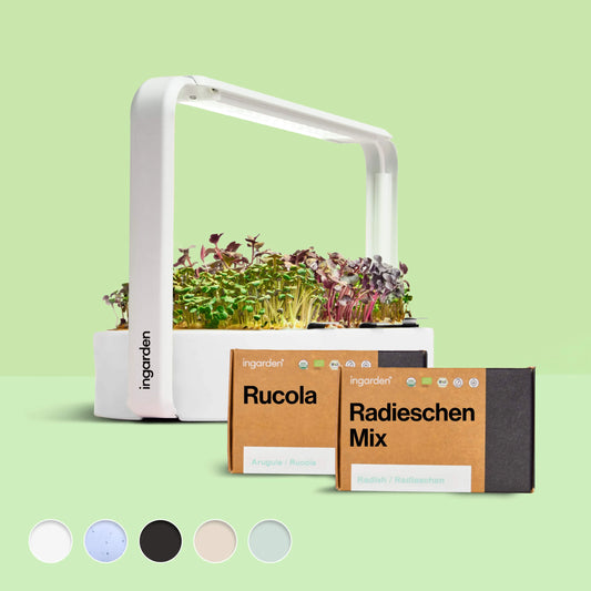 ingarden + Mini Rucola & Radieschen Mix